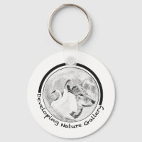 Developing Nature Gallery Logo