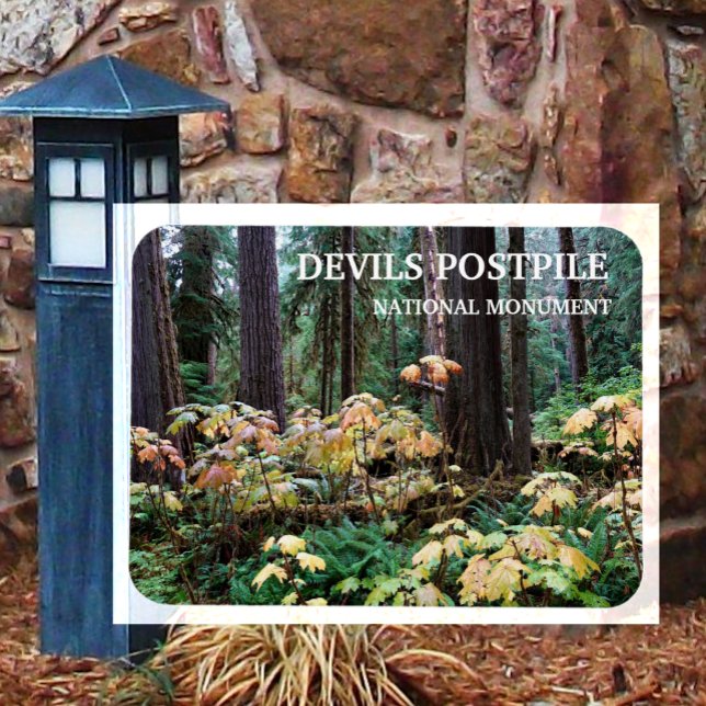 Devil's Club, Devils Postpile National Monument Magnet (Creator Uploaded)