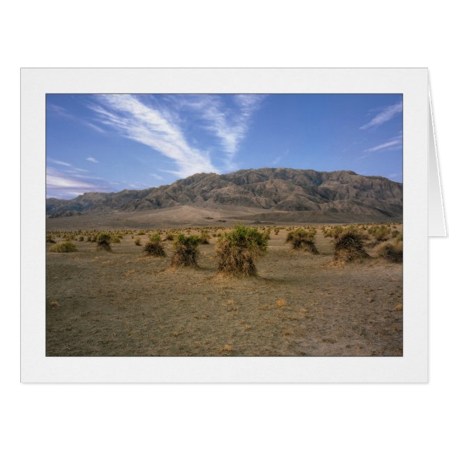 "Devils Cornfield" (Front Horizontal)