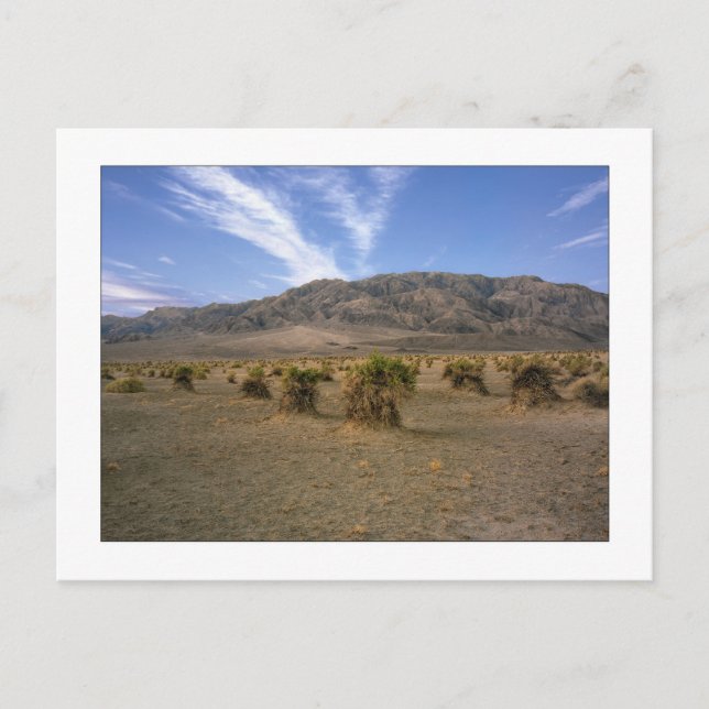 "Devils Cornfield" Postcard (Front)