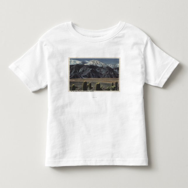 Devil's Garden View of Mt. San Jacinto # 2 Toddler T-Shirt (Front)