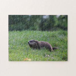 Devil's Hole Digger Jigsaw Puzzle
