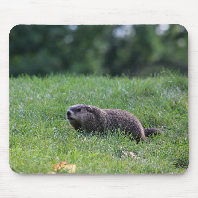 Devil's Hole Digger Mouse Pad (Front)
