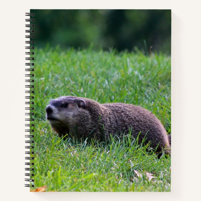 Devil's Hole Digger Notebook (Front)