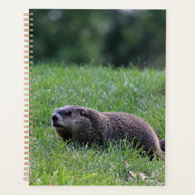 Devil's Hole Digger Planner (Front)
