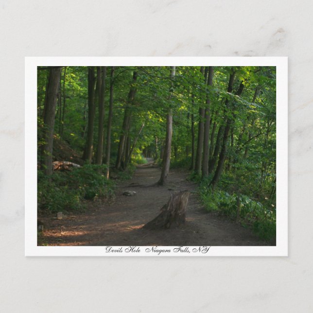 Devils Hole   Niagara Falls, NY Postcard (Front)