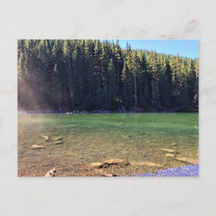 Devil's Lake, OR Postcard