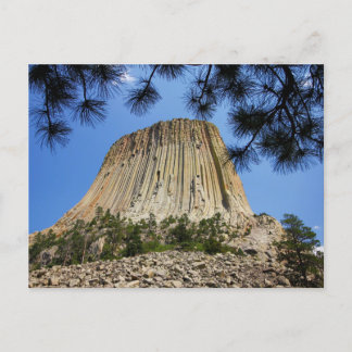 Devil's Tower, Devil's Tower National Monument, WY Postcard
