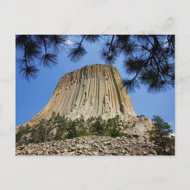 Devil's Tower, Devil's Tower National Monument, WY Postcard (Front)