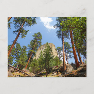 Devil's Tower, Devil's Tower National Monument, WY Postcard