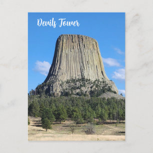 Devils Tower magnet Postcard