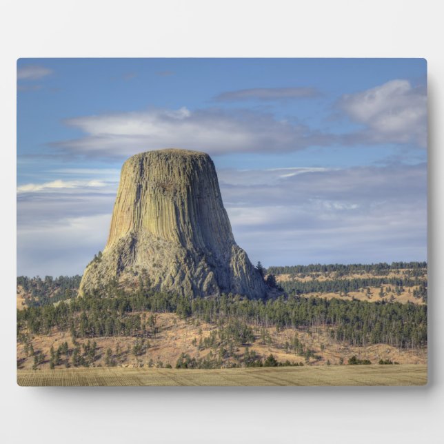 Devils Tower National Monument Plaque (Front)