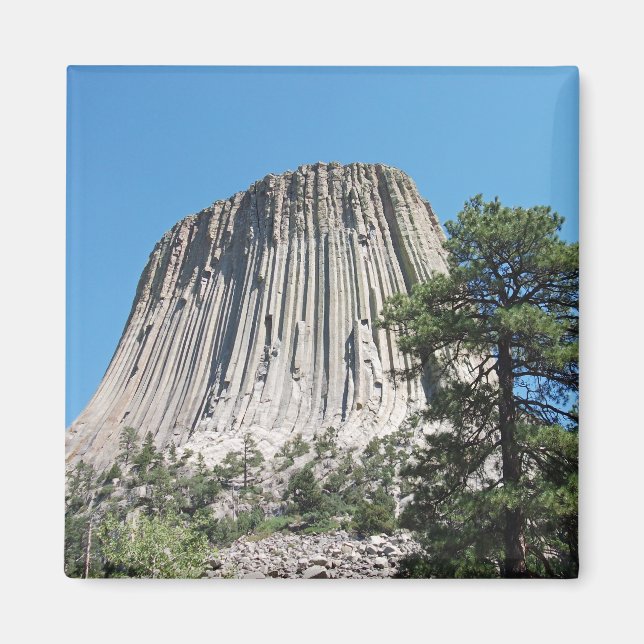 Devils Tower Wyoming Magnet (Front)