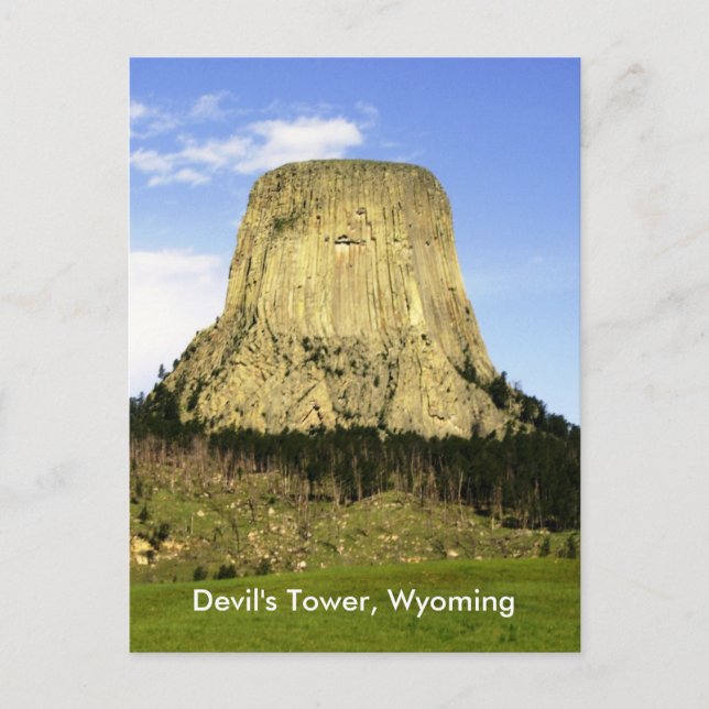 Devil's Tower, Wyoming Postcard (Front)