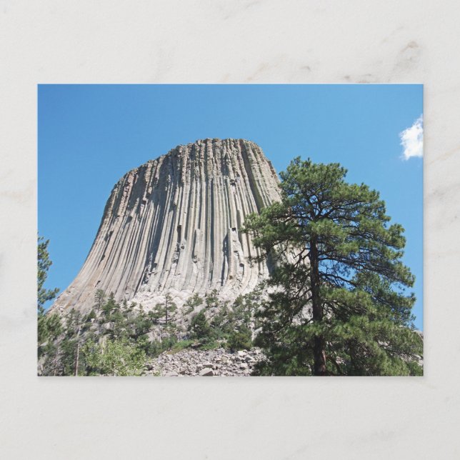 Devils Tower Wyoming Postcard (Front)