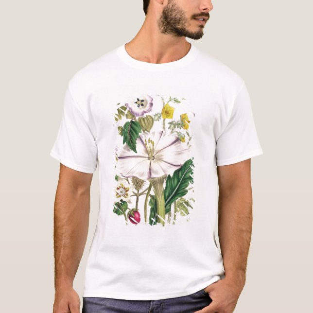 Devil's Trumpet, plate 46 from 'The Ladies' T-Shirt (Front)