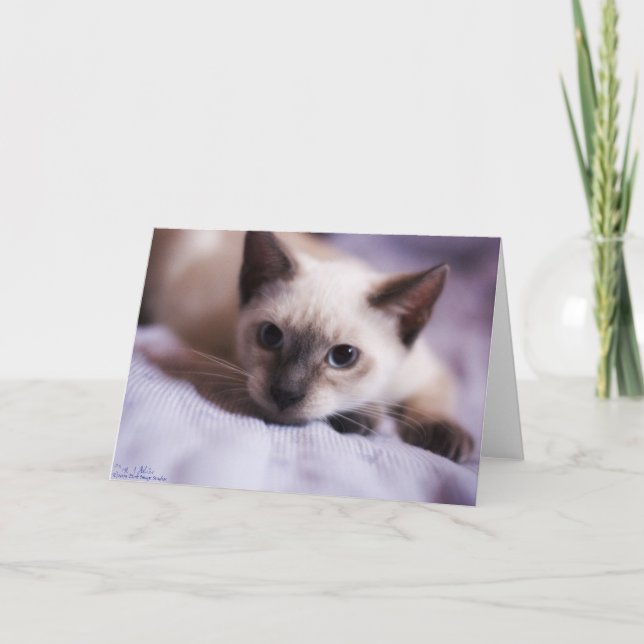 Deviously Cute Card (Front)