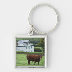 Devon, England Key Ring