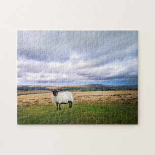 Devon England Landscape and Sheep Jigsaw Puzzle