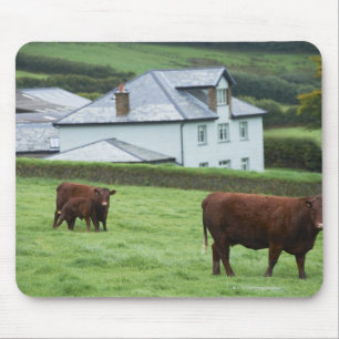 Devon, England Mouse Pad
