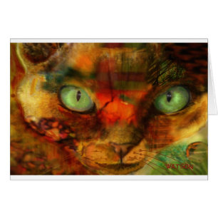 Devon Rex Close Up
