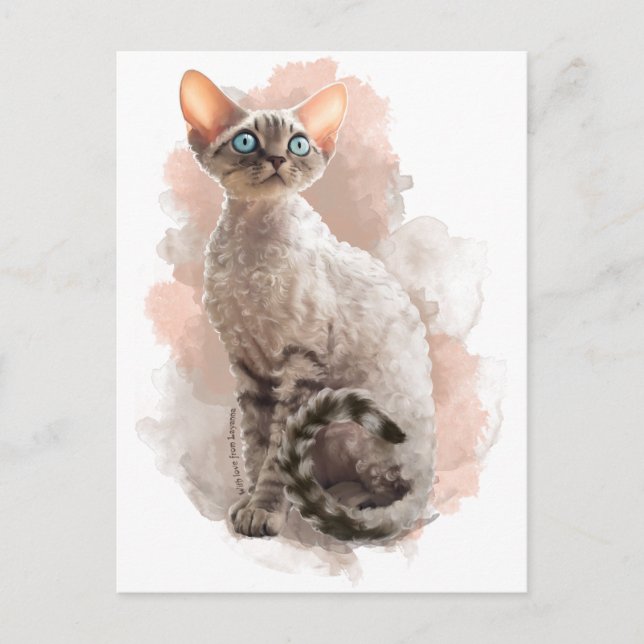 Devon Rex Sofi Postcard (Front)