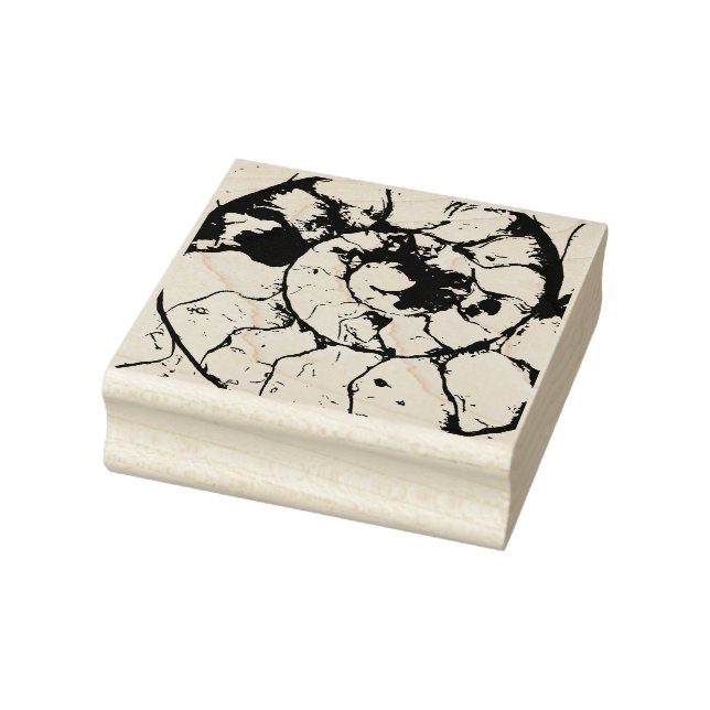 Devonshire Ammonite fossil spiral Rubber Stamp (Stamp)