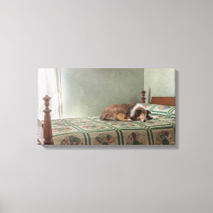 Devoted Companion Sheltie Canvas Print