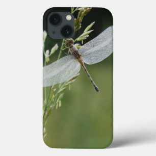 Dew covered Darner Dragonfly iPhone 13 Case