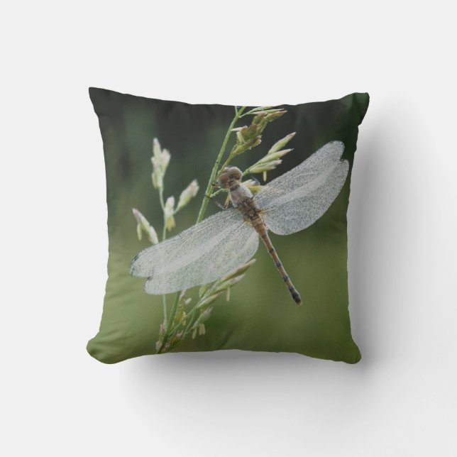 Dew covered Darner Dragonfly Cushion (Front)