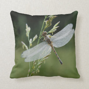Dew covered Darner Dragonfly Cushion