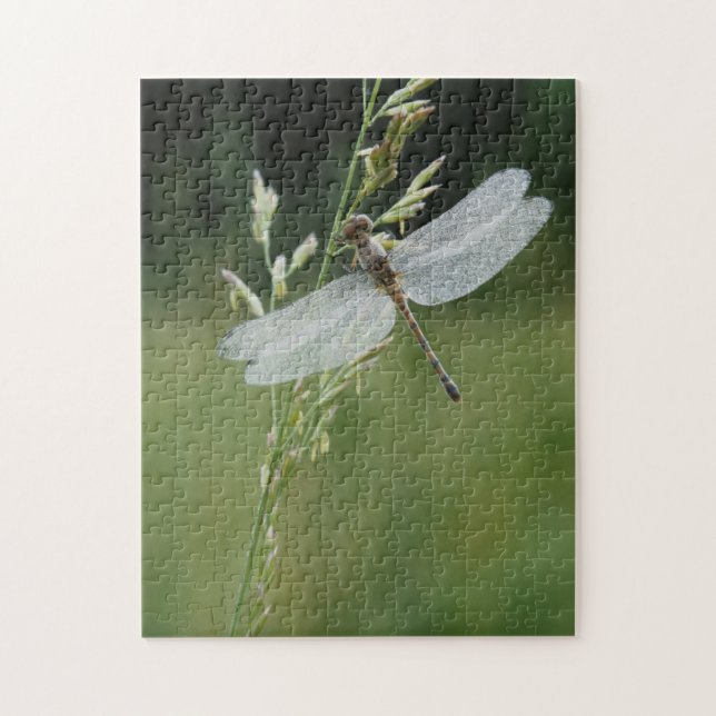 Dew covered Darner Dragonfly Jigsaw Puzzle (Vertical)