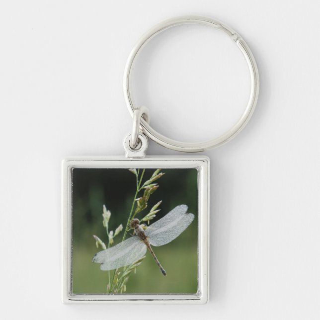 Dew covered Darner Dragonfly Key Ring (Front)
