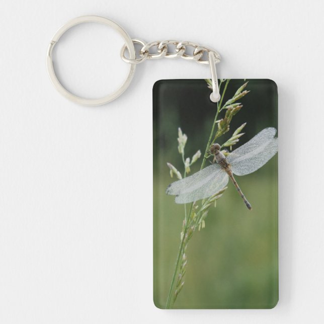 Dew covered Darner Dragonfly Key Ring (Front)