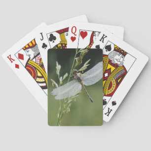 Dew covered Darner Dragonfly Playing Cards