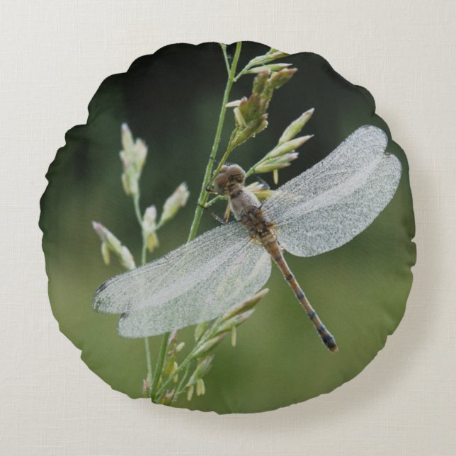 Dew covered Darner Dragonfly Round Cushion (Front)