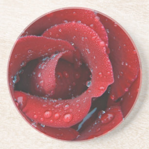 Dew covered red rose decorating grave site in coaster