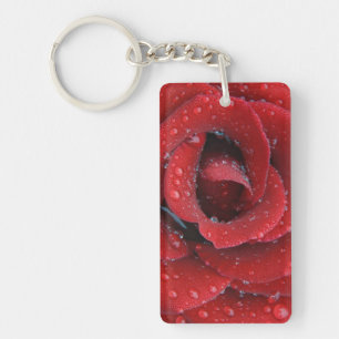 Dew covered red rose decorating grave site in key ring
