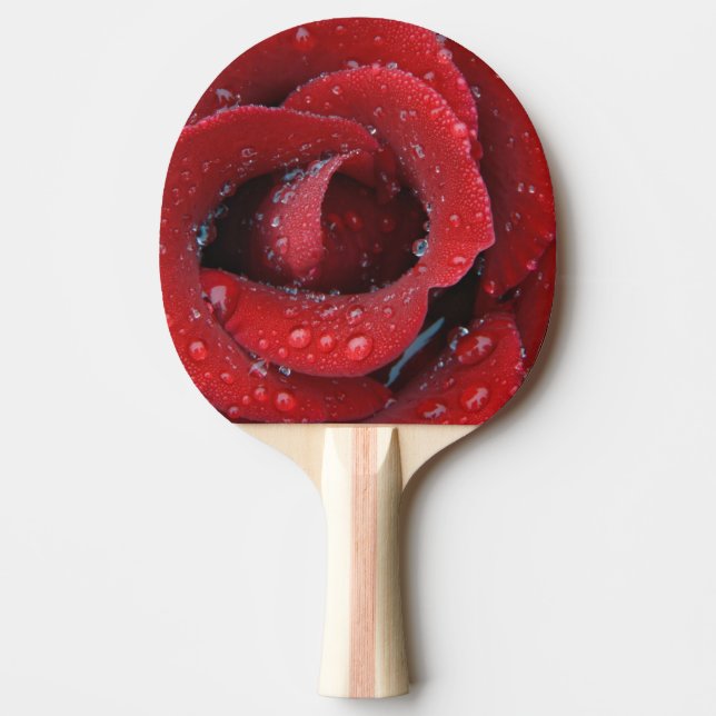 Dew covered red rose decorating grave site in ping pong paddle (Front)