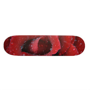 Dew covered red rose decorating grave site in skateboard