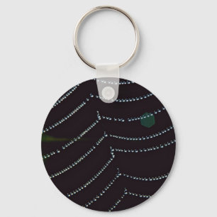 Dew-covered spider web key ring