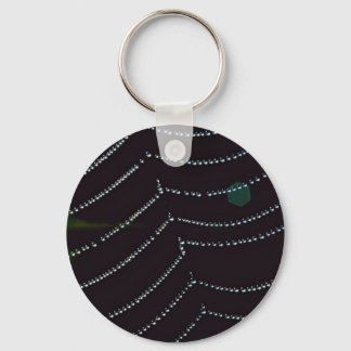 Dew-covered spider web key ring