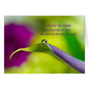 Dew Drop