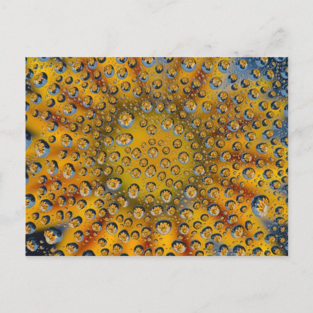 Dew Drop reflection of flower, Crescent City, Postcard (Front)