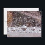 Dew Drop Yin Yang Nature Meditation  Postcard<br><div class="desc">Drops of dew perfectly placed reflect a Yin Yang balance in this mesmerizing, beautiful nature meditation postcard. Holy wow! That is what I thought when I saw these drops, nestled in the bracken. Nature humbles me once again! They are so perfectly balanced, so beautifully simple. A peaceful Yin Yang among...</div>