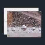 Dew Drop Yin Yang Nature Meditation  Postcard<br><div class="desc">Drops of dew perfectly placed reflect a Yin Yang balance in this mesmerizing, beautiful nature meditation postcard. Holy wow! That is what I thought when I saw these drops, nestled in the bracken. Nature humbles me once again! They are so perfectly balanced, so beautifully simple. A peaceful Yin Yang among...</div>