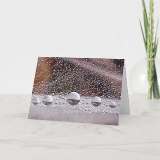 Dew Drop Yin Yang Peaceful Nature Note Card