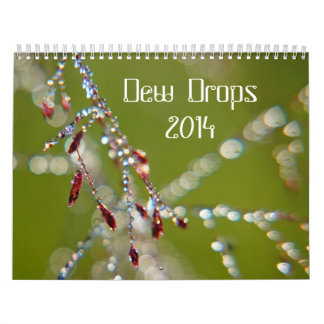 Dew Drops 2014 Calendar