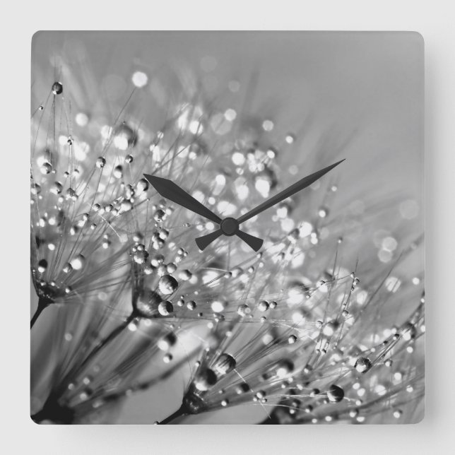 Dew Drops Black and White Square Wall Clock (Front)