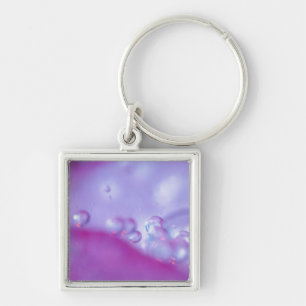 Dew drops on flower petal abstract. Credit as: Key Ring